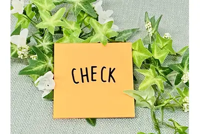 SESの年収｜正社員・派遣・フリーランスとの比較